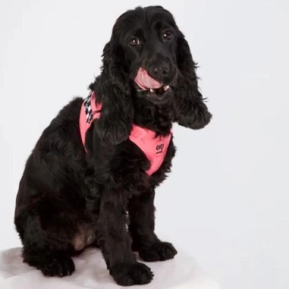 MOSHIQA Pink Padded Dog Cat Pet Harness Size XS M L Soft Buckle Checker Frenchie